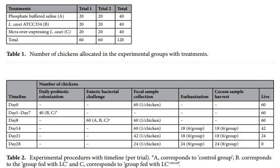 Competitive reduction of poultry-borne enteric bacterial pathogens in chicken gut with bioactive Lactobacillus casei - Image 9