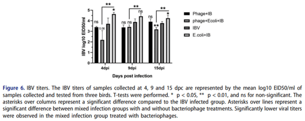 Evaluation of bacteriophage efficacy in reducing the impact of single and mixed infections with Escherichia coli and infectious bronchitis in chickens - Image 6