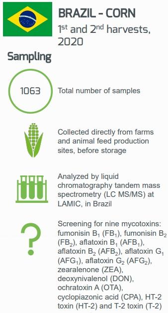 Mycotoxin Contamination in Brazilian Corn harvested in 2020 - Image 1