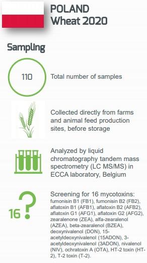 Mycotoxin Contamination In Wheat From Poland Harvested In 2020 - Image 1