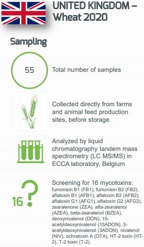 Mycotoxin Contamination in Wheat Harvested in the United Kingdom in 2020 - Image 1