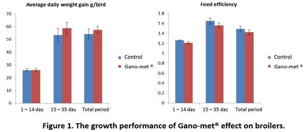 Gano-met® effect on broiler growth performance and antibody titer - Image 1