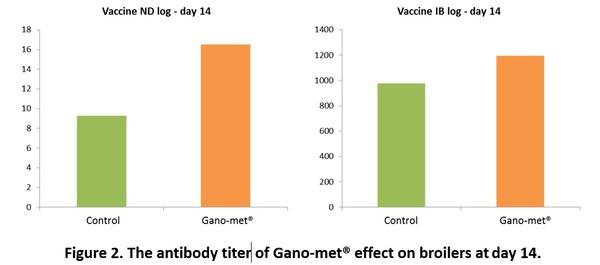Gano-met® effect on broiler growth performance and antibody titer - Image 2