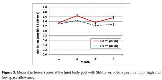 Exploration Feeding and Higher Space Allocation Improve Welfare of Growing-Finishing Pigs - Image 5