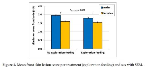 Exploration Feeding and Higher Space Allocation Improve Welfare of Growing-Finishing Pigs - Image 4