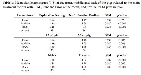 Exploration Feeding and Higher Space Allocation Improve Welfare of Growing-Finishing Pigs - Image 2