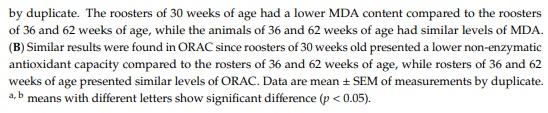 Effect of the Age and Body Weight of the Broiler Breeders Male on the Presentation of Oxidative Stress and Its Correlation with the Quality of Testicular Parenchyma and Physiological Antioxidant Levels - Image 1
