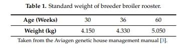 Effect of the Age and Body Weight of the Broiler Breeders Male on the Presentation of Oxidative Stress and Its Correlation with the Quality of Testicular Parenchyma and Physiological Antioxidant Levels - Image 1