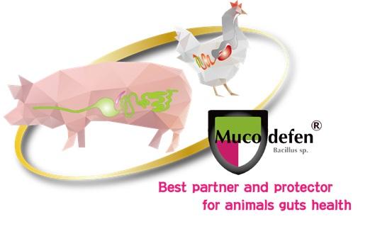 The guts daily defence - Muco-defen® - Image 1