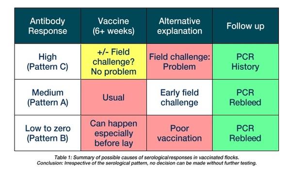 Serology after ts-11 and MSH mycoplasma vaccination - Image 5