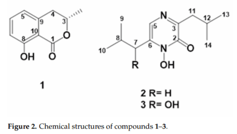 Bioactive Metabolites from the Endophytic Fungus Aspergillus sp. SPH2 - Image 4
