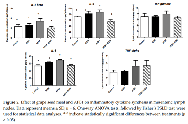 Grape Seed Waste Counteracts Aflatoxin B1 Toxicity in Piglet Mesenteric Lymph Nodes - Image 2