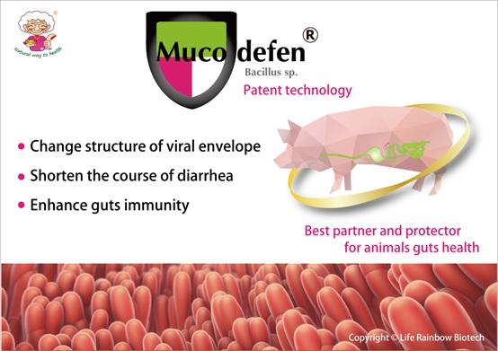 Porcine epidemic diarrhea problem solver - Muco-defen - Image 1