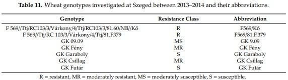 The Influence of the Dilution Rate on the Aggressiveness of Inocula and the Expression of Resistance against Fusarium Head Blight in Wheat - Image 12