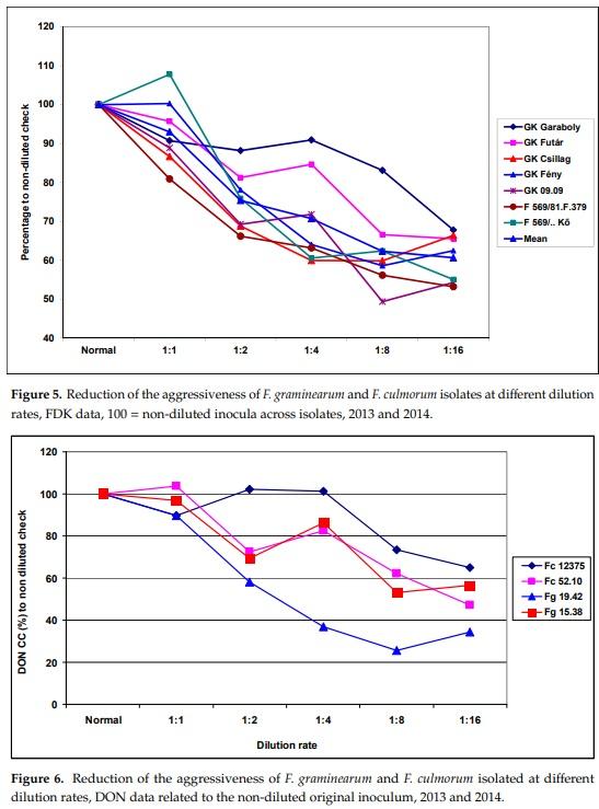 The Influence of the Dilution Rate on the Aggressiveness of Inocula and the Expression of Resistance against Fusarium Head Blight in Wheat - Image 4
