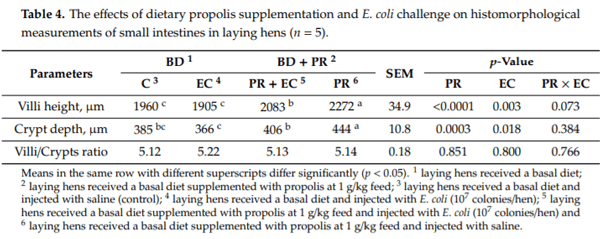 Modulating Laying Hens Productivity and Immune Performance in Response to Oxidative Stress Induced by E. coli Challenge Using Dietary Propolis Supplementation - Image 6