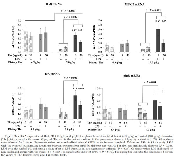 Effect of threonine on secretory immune system using a chicken intestinal ex vivo model with lipopolysaccharide challenge - Image 3