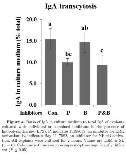 Effect of threonine on secretory immune system using a chicken intestinal ex vivo model with lipopolysaccharide challenge - Image 5