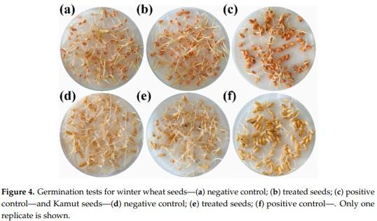 Antifungal Activity against Fusarium culmorum of Stevioside, Silybum marianum Seed Extracts, and Their Conjugate Complexes - Image 5