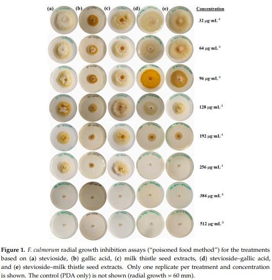 Antifungal Activity against Fusarium culmorum of Stevioside, Silybum marianum Seed Extracts, and Their Conjugate Complexes - Image 1
