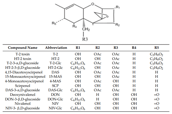 Figure 1. Chemical structure and ligands identifying the trichothecene mycotoxins used in this study and their masked forms and deacetylated metabolites.