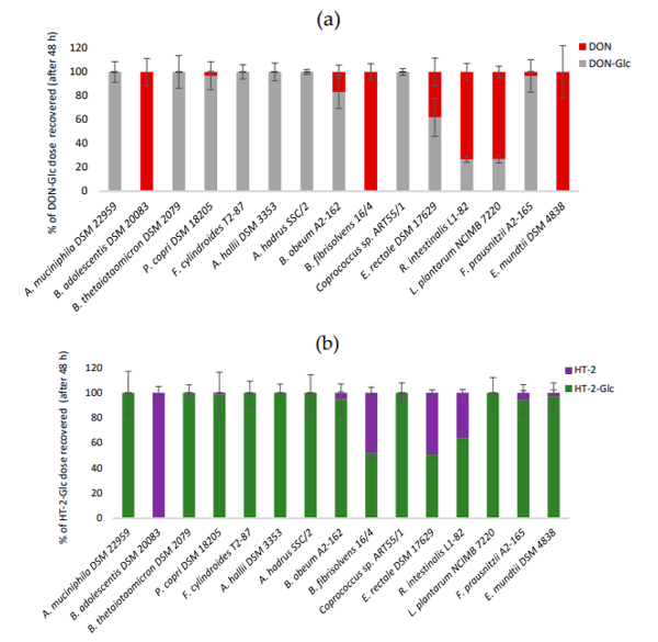 Figure 2. Hydrolysis of DON-Glc (panel a) and HT-2-Glc (panel b) by bacterial strains after 48 h incubation. Results are presented as percentage of the mycotoxin dose recovered and the average of triplicates ± SD.