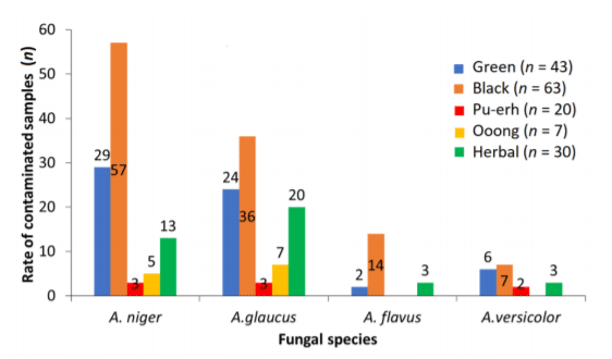 Figure 3. Distribution of the four most prevailing fungal species in different tea varieties.