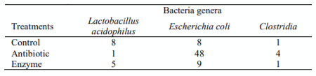 Table 4 Relative number specific Bacteria identified in ileum content of broiler gut as affected by feed additives