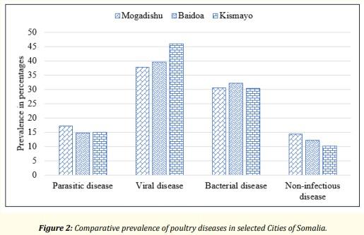 Prevalence of Poultry (Gallus domesticus) Diseases in Southern Somalia - Image 5