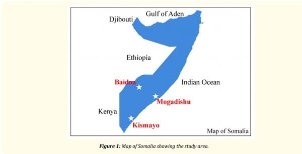 Prevalence of Poultry (Gallus domesticus) Diseases in Southern Somalia - Image 1