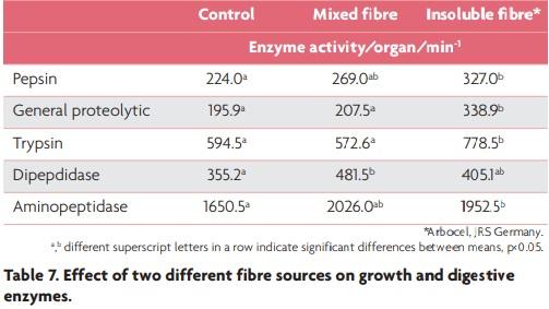 Fibre in layer-diets: the importance of choosing the right fibre source - Image 7