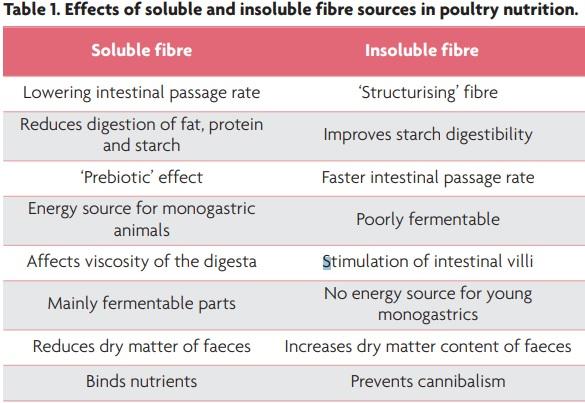 Fibre in layer-diets: the importance of choosing the right fibre source - Image 1