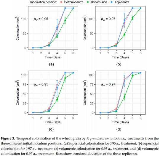 Three-Dimensional Study of F. graminearum Colonisation of Stored Wheat: Post-Harvest Growth Patterns, Dry Matter Losses and Mycotoxin Contamination - Image 6