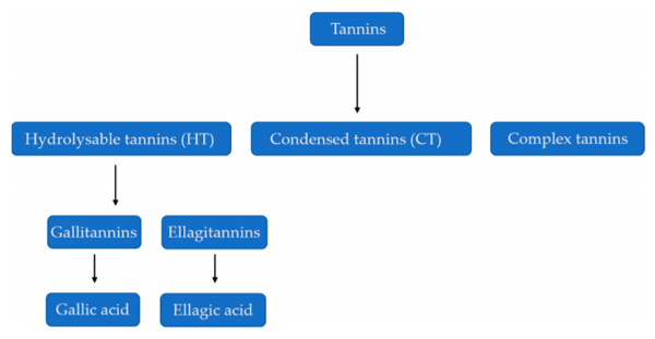 Figure 1. Classification of Tannins. Sources: [18,19].