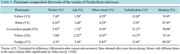Extraction and Characterization of Starch Fractions of Five Phenotypes Pachyrhizus tuberosus (Lam.) Spreng - Image 4