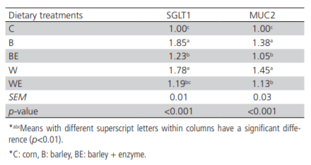 Table 8 – Effect of different types of cereal grains and enzyme supplementation on expression of SGLT1 and MUC2 genes in jejunum of chickens