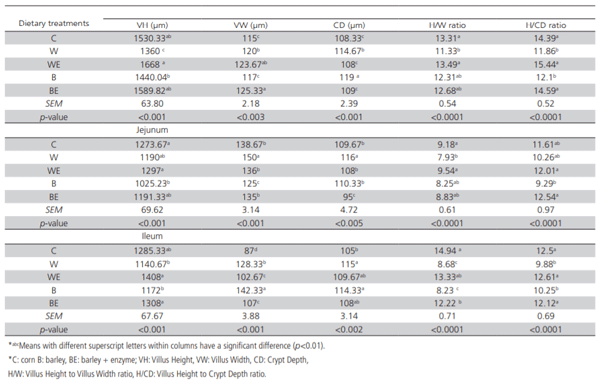 Table 6 – Effect of different types of cereal grains and enzyme supplementation on intestinal morphology of chickens