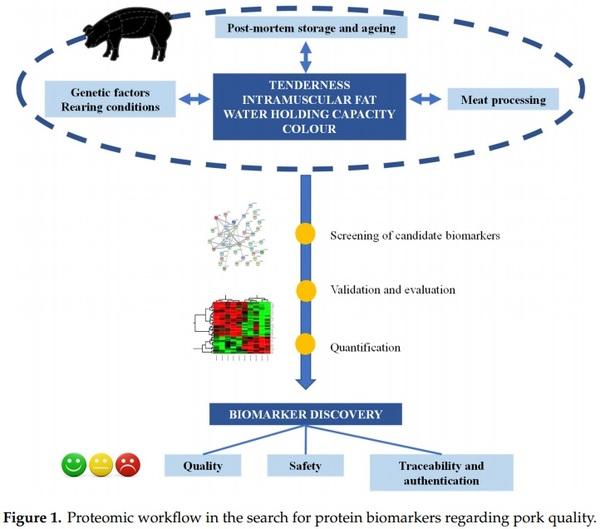 Application of Proteomic Technologies to Assess the Quality of Raw Pork and Pork Products: An Overview from Farm-To-Fork - Image 1