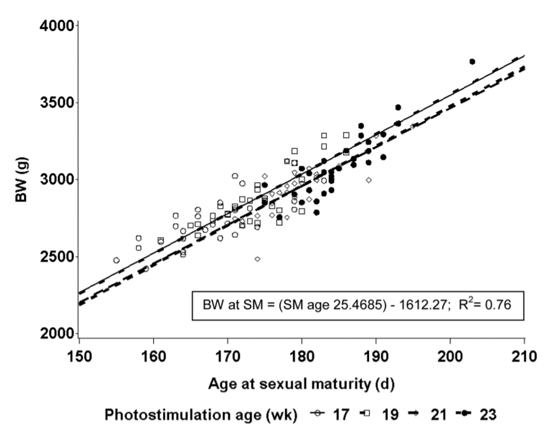 Figure 1. Effect of age at sexual maturity (SM; d) on BW at first egg in pullets photostimulated at 17, 19, 21, or 23 wk of age.