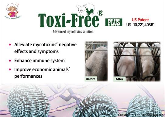 Advanced mycotoxin solution - Toxi-free® PLUS - Image 1