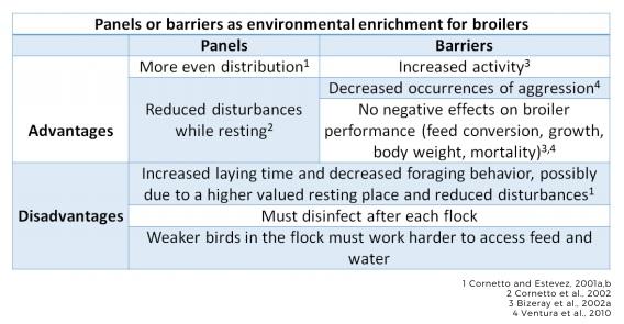 Effective enrichment strategies for broilers - Image 3