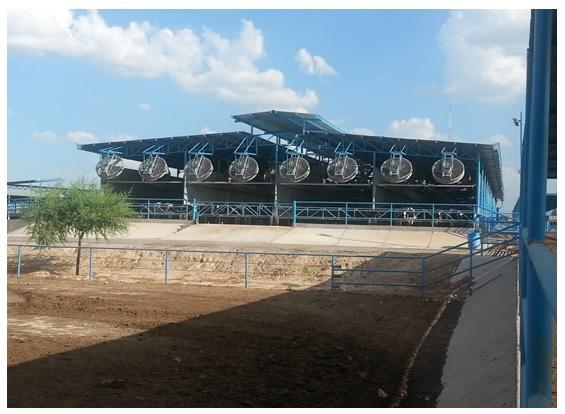 La Cantabra dairy farm in the north of Mexico a look after six years of implementing an intensive cooling system - Image 2