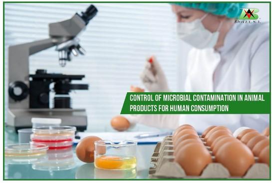 Alquermold Natural for the control of microbial contamination in animal products for human consumption - Image 1