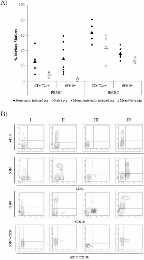 Identification of an Immunosuppressive Cell Population during Classical Swine Fever Virus Infection and Its Role in Viral Persistence in the Host - Image 3
