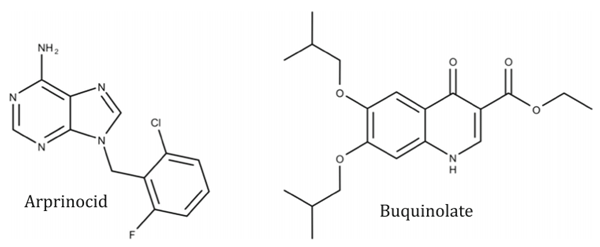 Fig. 4 Chemical structures of arprinocid and buquinolate