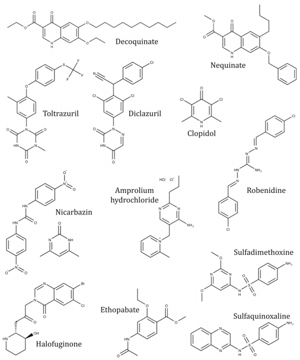 Fig. 2 Synthetic anticoccidial APIs