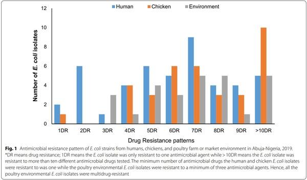 Genetic relatedness of multidrug resistant Escherichia coli isolated from humans, chickens and poultry environments - Image 2