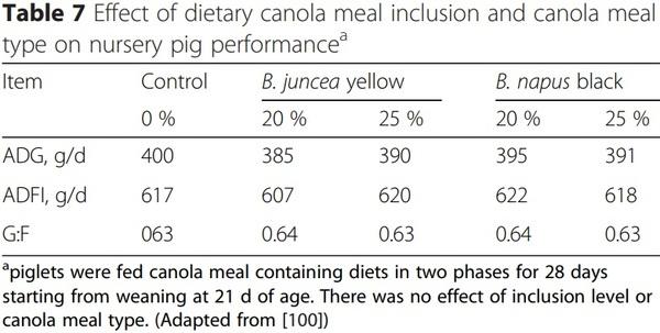Recent advances in canola meal utilization in swine nutrition - Image 8