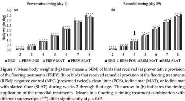 Remedying Contact Dermatitis in Broiler Chickens with Novel Flooring Treatments - Image 10