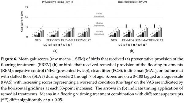 Remedying Contact Dermatitis in Broiler Chickens with Novel Flooring Treatments - Image 9